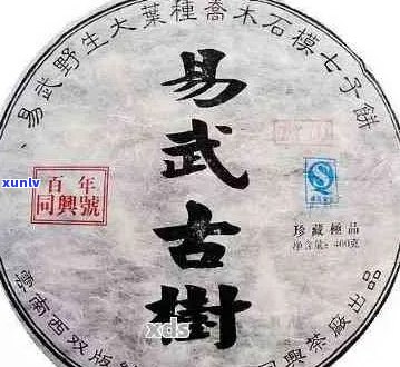 云南福鸿号官网：评价普洱茶厂产品，1993专供的品质与风味