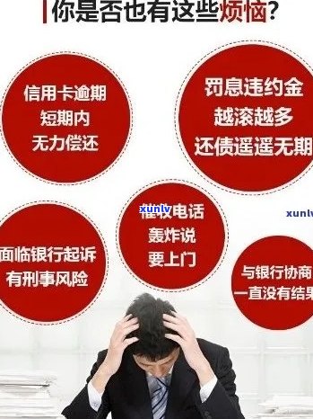 普洱老班章茶的价格：1000克报价，是什么类型的茶叶？口感和评价如何？