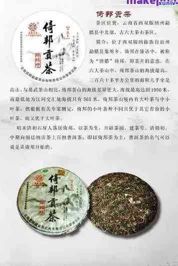 云南普洱茶全面指南：从知名到小众，一网打尽优质茶叶及其特点