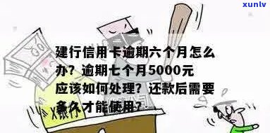 建行信用卡7万逾期处理方式与利息计算，7个月逾期5000元案例分析