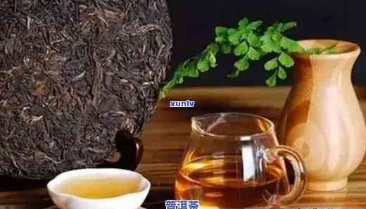 普洱茶减肥计划一周