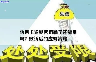 信用卡逾期官司输了的后果：如何应对信用损失、法律纠纷和未来信用修复