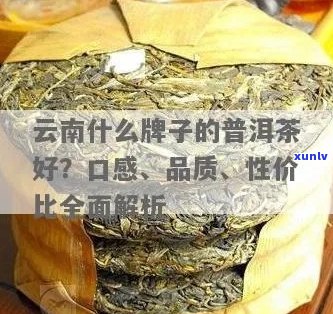 云南普洱茶哪家品质优良？哪一家口感更佳？