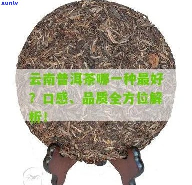 云南普洱茶哪家品质优良？哪一家口感更佳？