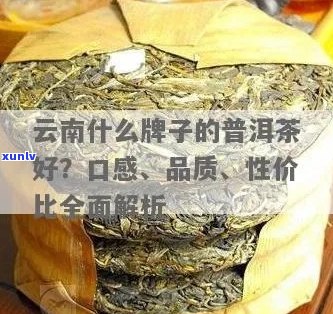 云南普洱茶哪家品质优良？哪一家口感更佳？