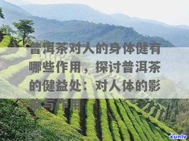 十年普洱茶饮用对人体健的影响及潜在危害分析