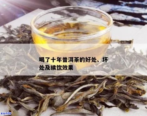 喝普洱茶十年的危害