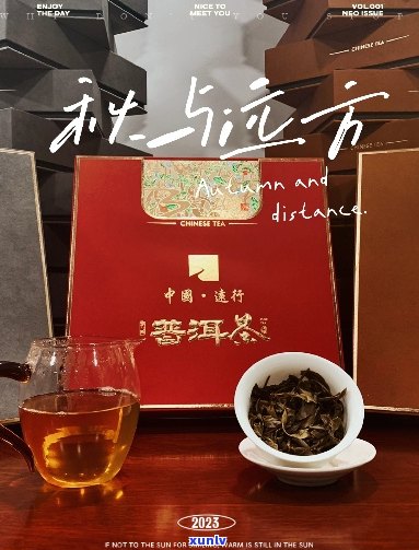 秋天的之一口普洱茶