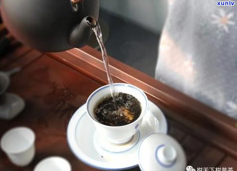 十八怪与八奇普洱茶：探索神奇的茶文化，解答你所关心的一切问题