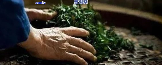 '莹毫普洱茶是谁做的：揭秘普洱茶的 *** 工艺与传承者'