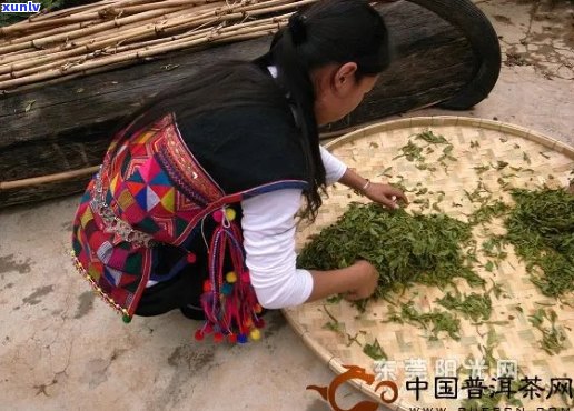 '莹毫普洱茶是谁做的：揭秘普洱茶的 *** 工艺与传承者'