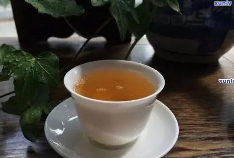 秋天的之一杯普洱茶文案：诗意浓醇的秋日品味