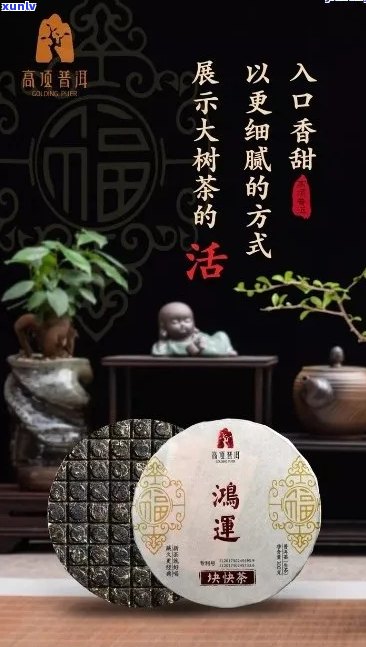 鸿歆堂普洱茶怎么样