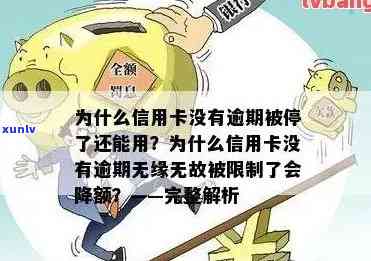 为什么信用卡没有逾期会降额 - 通常降额幅度及原因解析