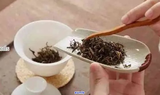 给孩子做一种普洱茶的做法：简单易学的家庭茶艺课