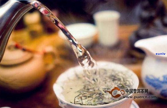 全面品鉴正同普洱茶：品质、口感、保存与泡法一网打尽