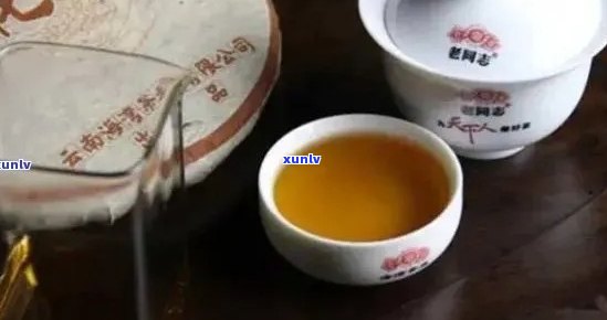 正同牌普洱茶品质与口感体验：古树茶购买心得分享