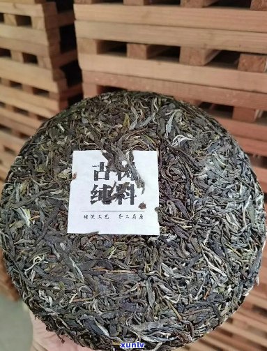 正同牌普洱茶品质与口感体验：古树茶购买心得分享