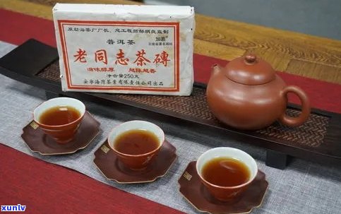 正同牌普洱茶品质与口感体验：古树茶购买心得分享