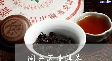 正同普洱茶好不好