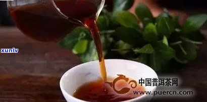 '普洱茶加陈皮一起泡的功效：陈皮普洱茶的正确泡法，功效与作用，禁忌'