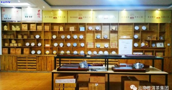 李兴普洱茶实体店：云南名山古树茶，特色新茶品鉴与购买