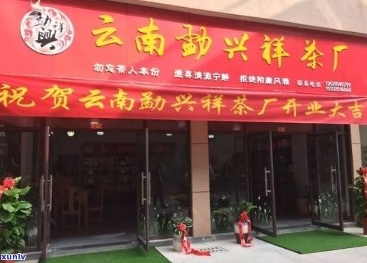 李兴普洱茶实体店：云南名山古树茶，特色新茶品鉴与购买