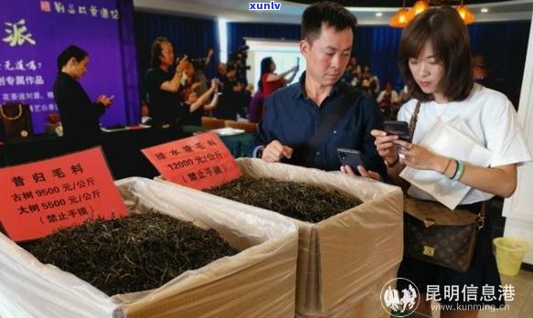 李兴普洱茶实体店：云南名山古树茶，特色新茶品鉴与购买