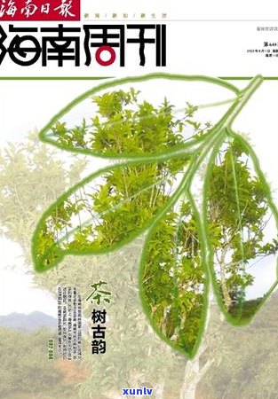 珍藏版普洱茶饼礼盒：古树茶韵，品味人生