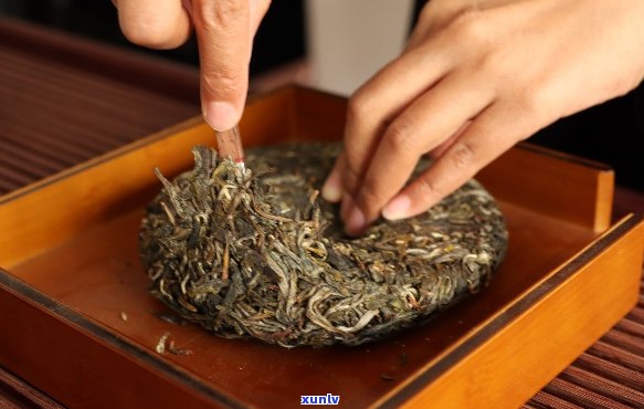 普洱茶饼太硬怎么破？教你喝出软糯口感，品鉴原汁原味！