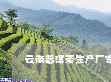 云南省县普洱茶厂地址及联系方式：全面了解该公司的详细信息