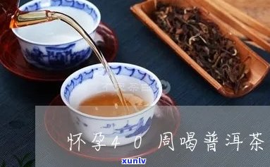 怀孕后一直喝普洱茶