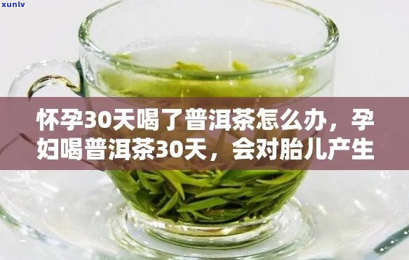 怀孕后一直喝普洱茶