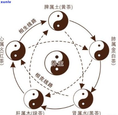 五行相生，茶香四溢——金木水火土茶杯的故事