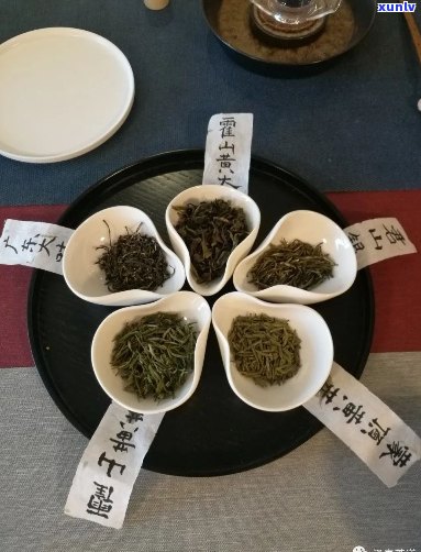 五行茶：金木水火土与茶的完美融合，品茗养生之道全解析