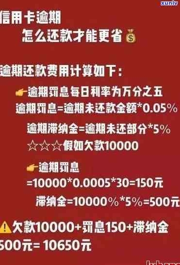 逾期信用卡的协商还款：条件、流程和建议