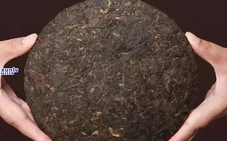 普洱茶饼一个多少克：关于普洱茶饼的克重与品质的关系