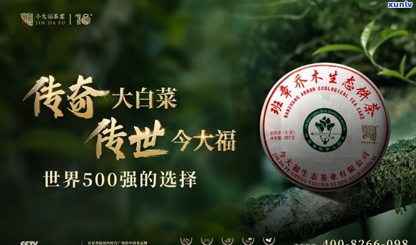 北京市今大福普洱茶：古树茶的魅力，品鉴与收藏的艺术