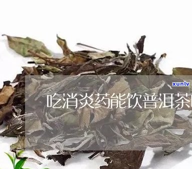 吃消炎药能喝普洱茶