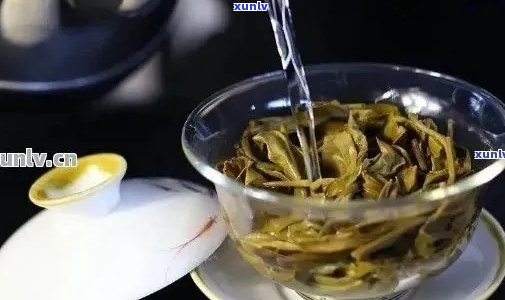 普洱茶保杯泡： *** 、时间与水质的探讨