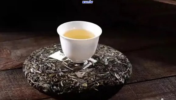 普洱茶的苦涩特性及其成因解析：探究普洱茶的口感与品质