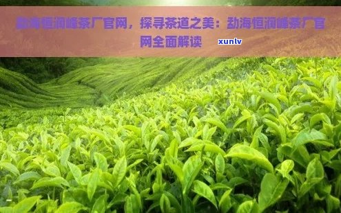 新 '恒润峰茶厂品质保证，口感醇厚，赢得广泛好评'