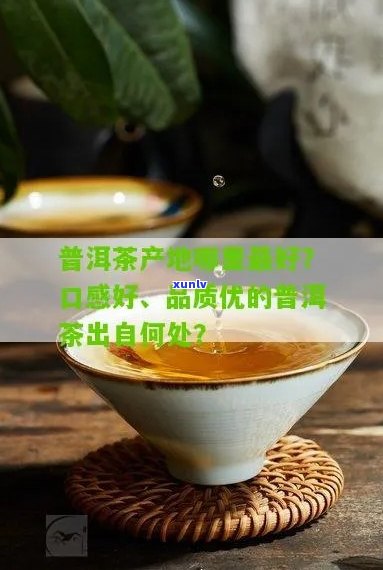 v93普洱茶产自哪里？哪个产地的口感更佳？