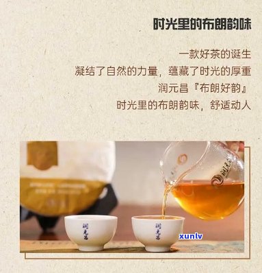 润元普洱茶品质与口感全解析，了解其优缺点及适合的饮用方式