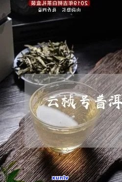 云桢号普洱茶：品质越，值得品鉴的茶叶佳品