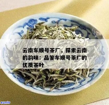 茶新体验：车顺号茶，品味茶叶文化与优质服务