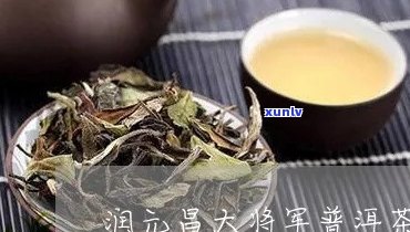 润元大将军价格老茶头