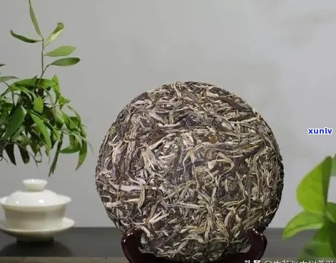 陈年普洱茶的品鉴与鉴：一款茶叶的文化与艺术