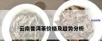 南糯山普洱茶各种价位分析：从入门到高端品鉴，一次看懂普洱茶价格区间