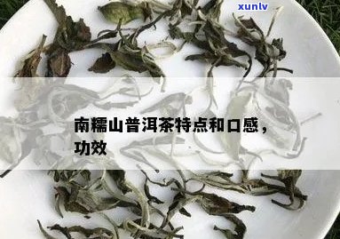 南糯山生普洱茶特点和口感：探究这款茶叶的价值与美味